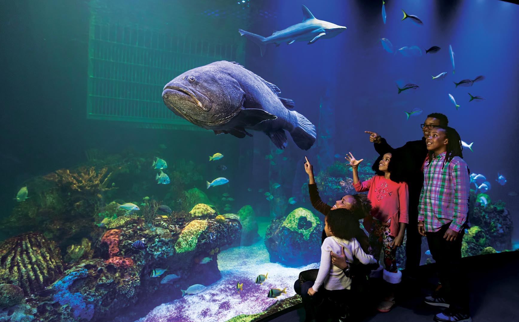 A Weekend in Springfield - Itineraries - Visit Missouri
